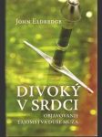 Divoký v srdci (Objavovanie tajomstva duše muža)   - náhled