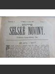 Selské noviny. Nové selské noviny. Politicko-hospodářský list. (Tábor 1891) - náhled