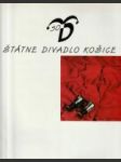 Štátne divadlo Košice - náhled