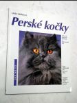 Perské kočky - náhled