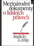 Mezinárodní dokumenty o lidských právech - náhled