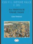 Češi v 1. světové válce - 2.díl - Na frontách Velké války - náhled