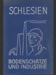 Schlesien. Bodenschatze und Industrie. Waren- und Firmenkundliches Handbuch. Das schlesiesche Industrie-Adreßbuch. - náhled