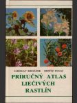 Príručný atlas liečivých rastlín - náhled