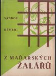 Z maďarských žalářů - náhled