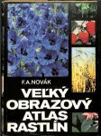 Veľký obrazový atlas rastlín - náhled