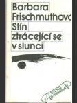 Stín ztrácející se v slunci - náhled