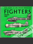 Fighters - volume two - náhled