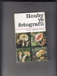 Houby ve fotografii - náhled