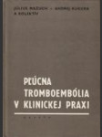 Pľúcna tromboembólia v klinickej praxi - náhled