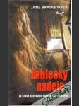 Záblesky nádeje - náhled