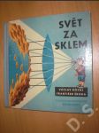 Svět za sklem - náhled