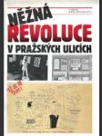 Něžná revoluce v pražských ulicích - náhled