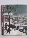 Život umělce: Bruegel - náhled