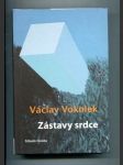 Zástavy srdce - náhled