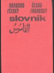 Arabsko-český, česko-arabský slovník - náhled
