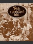 Růže z pražských trhů - náhled