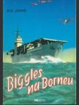 Biggles na borneu - náhled