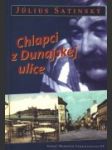 Chlapci z Dunajskej ulice - náhled