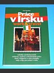 Práce v Irsku -  Work and travel - náhled