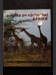 Potulky po východnej Afrike - náhled