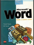 Microsoft Word 2000 - náhled