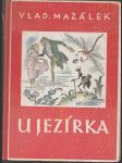 U jezírka - náhled