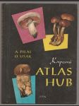 Kapesní atlas hub - náhled