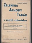 Zelenina jahody tabák v malé zahrádce - náhled