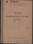 Atlas mikroskopické anatomie člověka - náhled