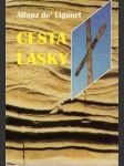 Cesta lásky (malý formát) - náhled