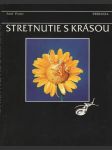 Stretnutie s krásou (veľký formát) - náhled