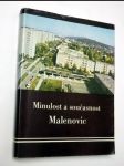 Minulost a současnost malenovic - náhled