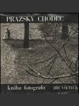 Pražský chodec - náhled