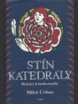 Stín katedrály - náhled