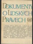 Dokumenty o lidských právech - náhled