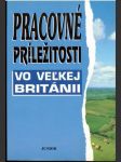 Pracovné príležitosti vo Veľkej Británii - náhled