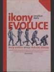 Ikony evoluce - náhled