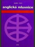 Anglická mluvnice - náhled