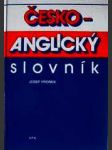 Česko-anglický slovník - náhled