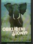 Obklíčeni slony - náhled