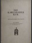 Die karlsbader kur - náhled