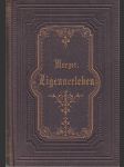 Zigeunerleben - Scenen aus dem pariser Literaten und Künstlerleben - náhled