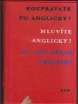 Rozprávate po anglicky? (malý formát) - náhled