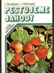 Pestujeme jahody... - náhled