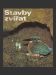 Stavby zvířat - náhled