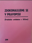 Zdokonalujeme se v pravopisu - náhled