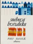 Sněhová hvězdička - náhled