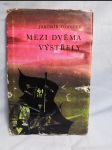 Mezi dvěma výstřely - náhled