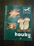 Houby - náhled